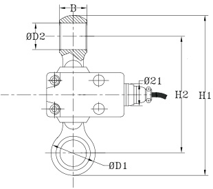 Ron 2000 Wired Dynamometer